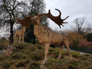 Megaloceros giganteus