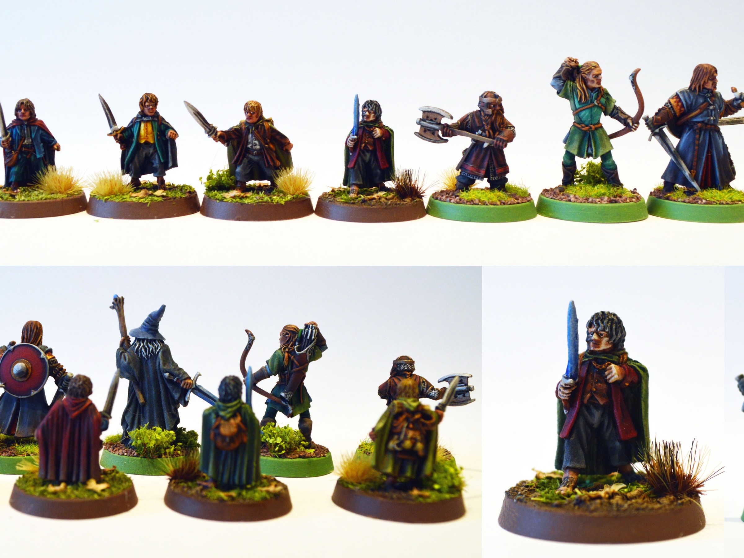 The Fellowship of the Ring